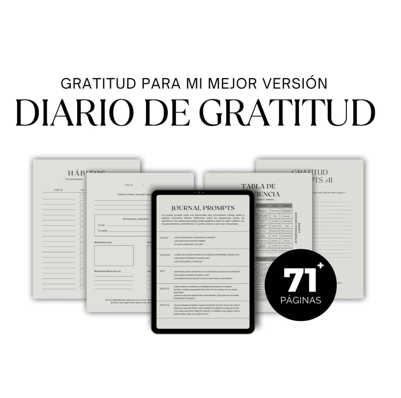 Diario de gratitud y manifestación